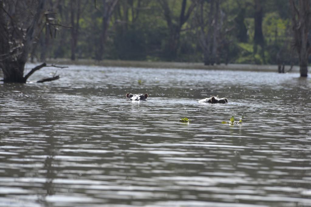 Burch'S Resort Naivasha Esterno foto